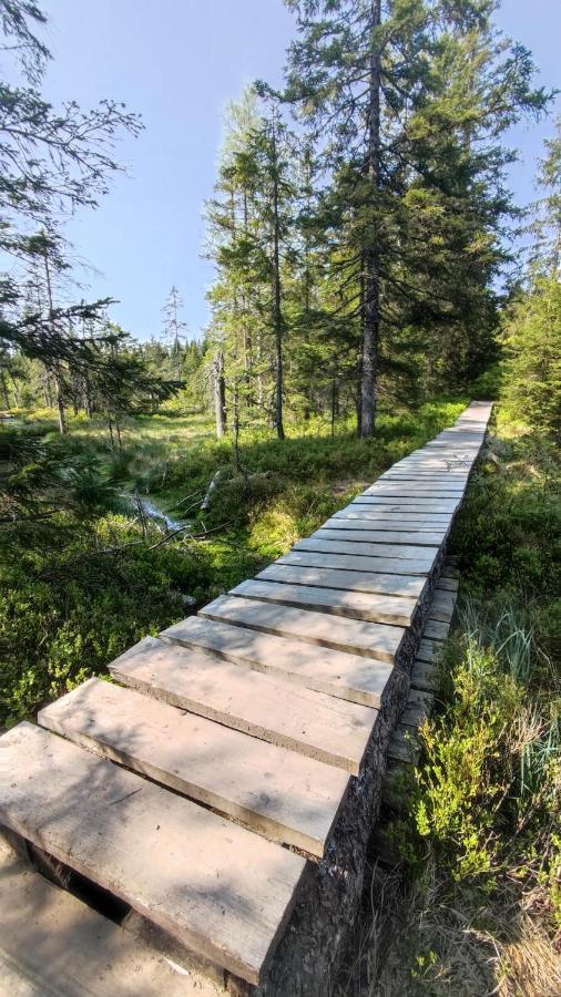 Am Berg Lägenhet Feldberg  Exteriör bild