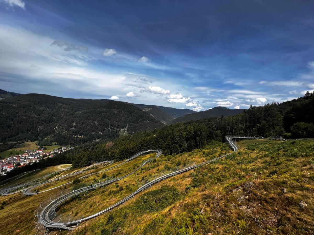 Am Berg Lägenhet Feldberg  Exteriör bild