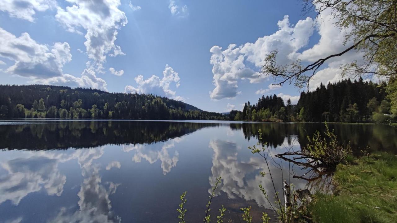 Am Berg Lägenhet Feldberg  Exteriör bild