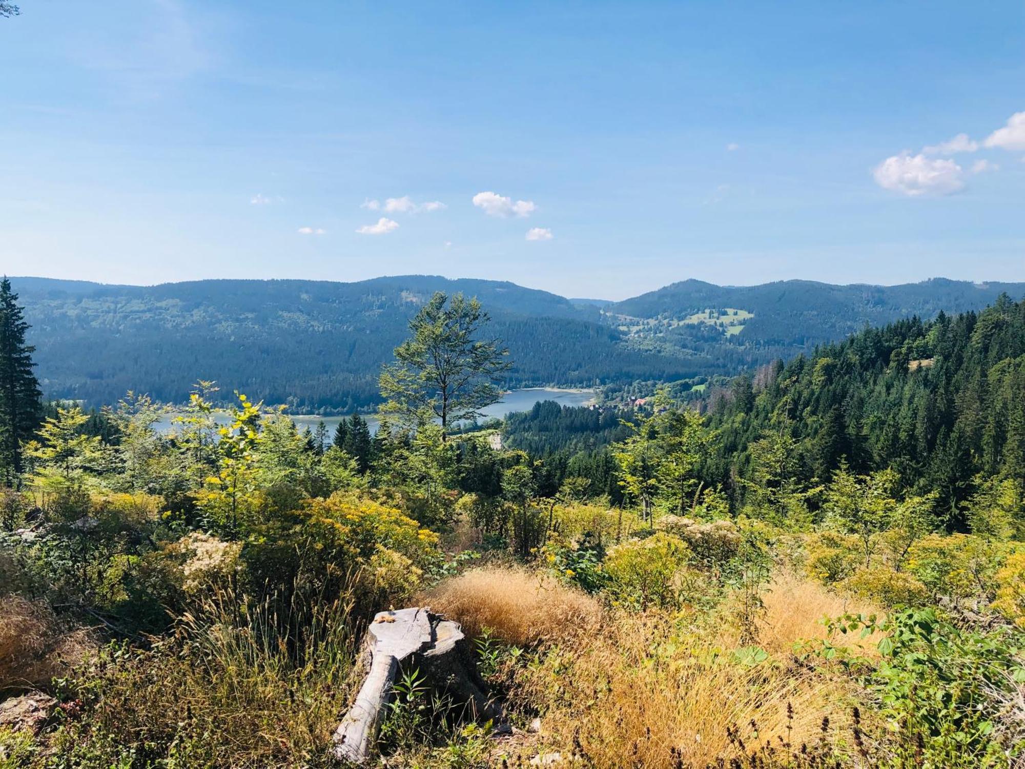 Am Berg Lägenhet Feldberg  Exteriör bild