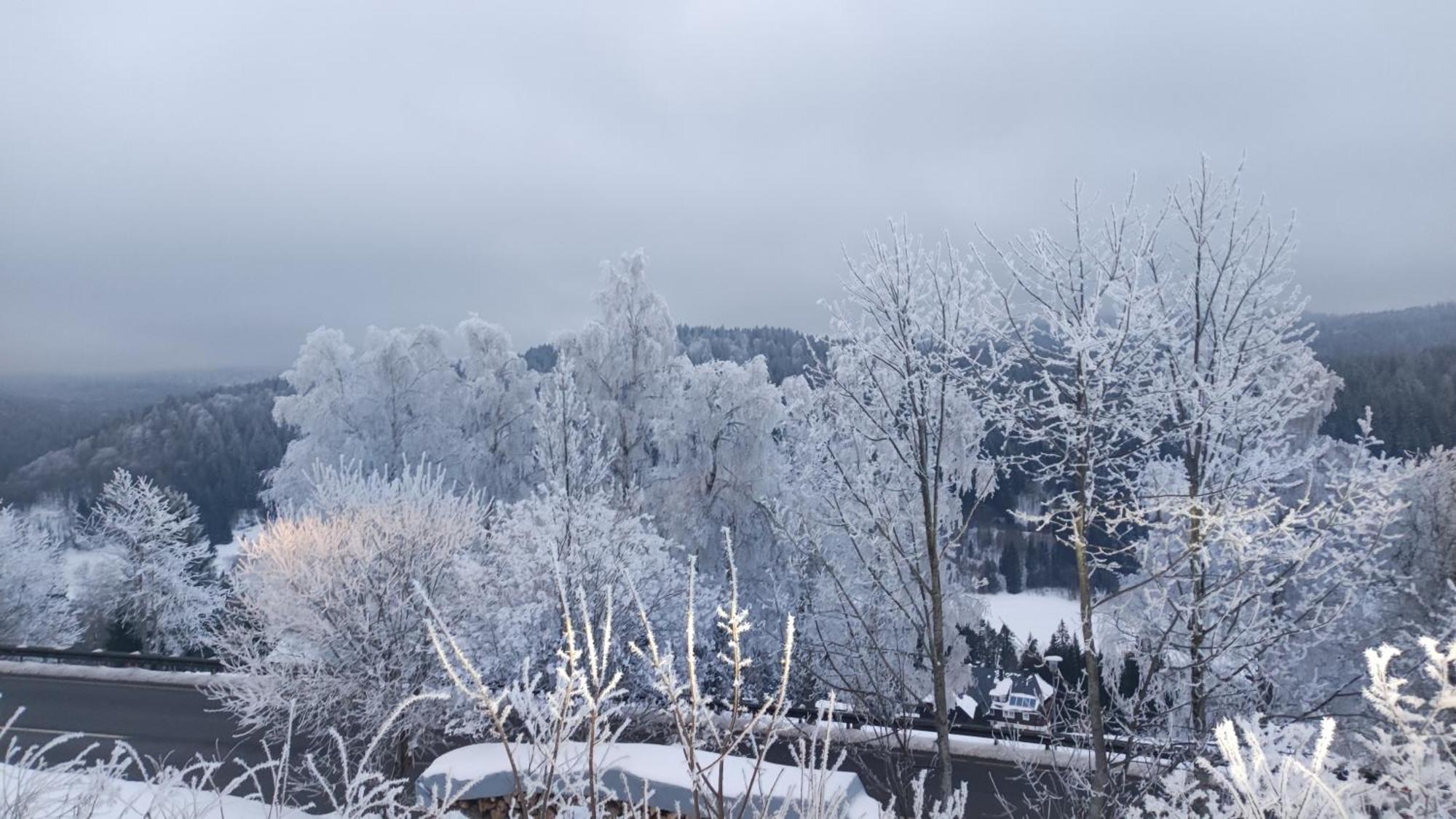Am Berg Lägenhet Feldberg  Exteriör bild