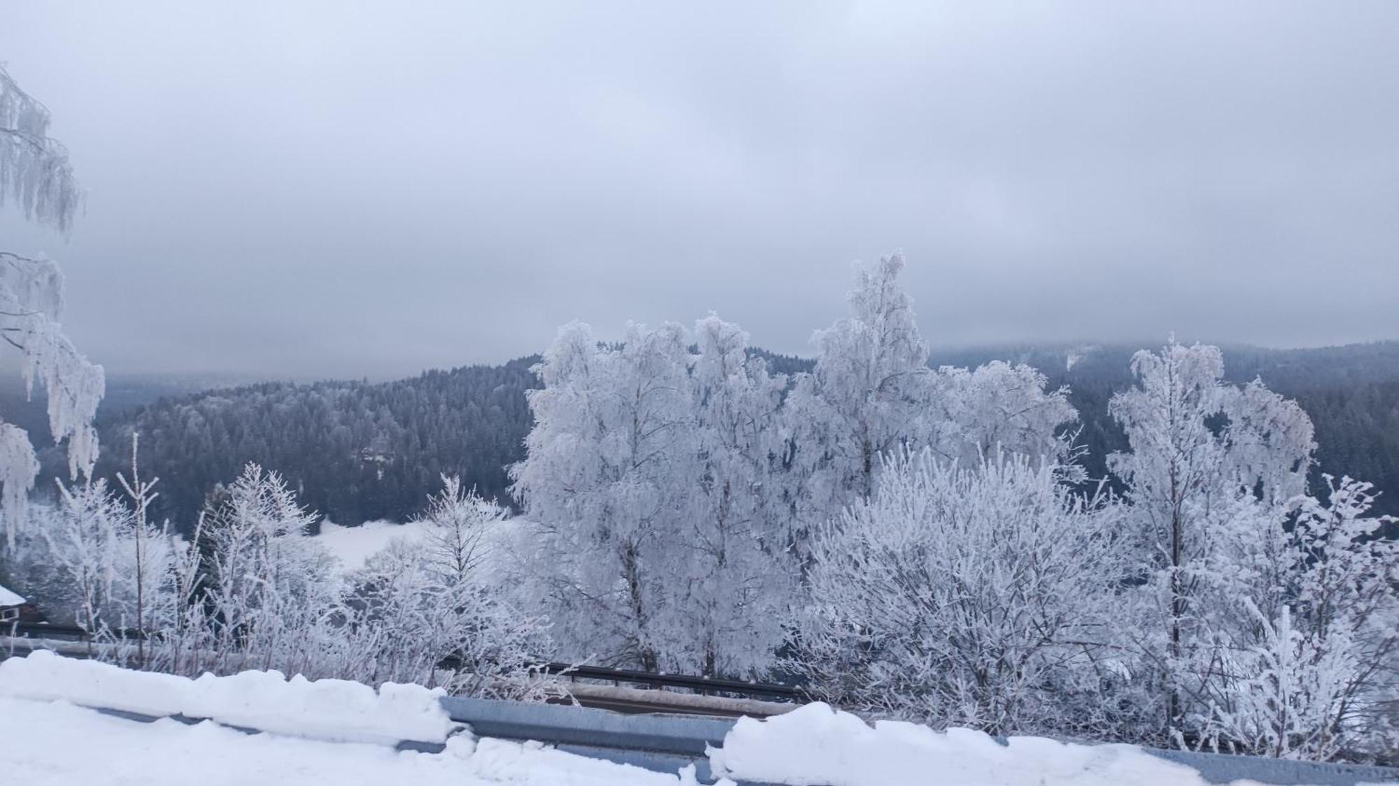 Am Berg Lägenhet Feldberg  Exteriör bild