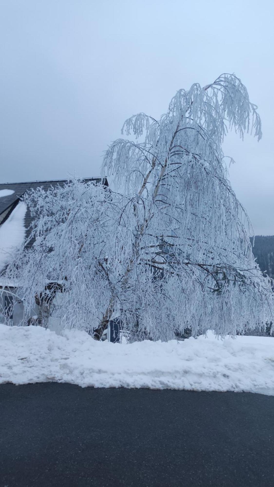 Am Berg Lägenhet Feldberg  Exteriör bild