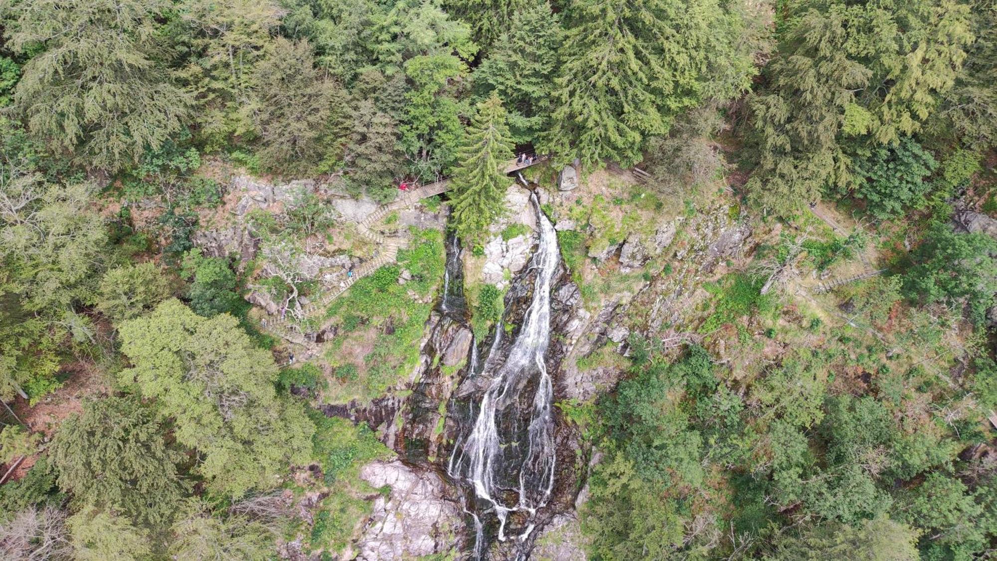 Am Berg Lägenhet Feldberg  Exteriör bild