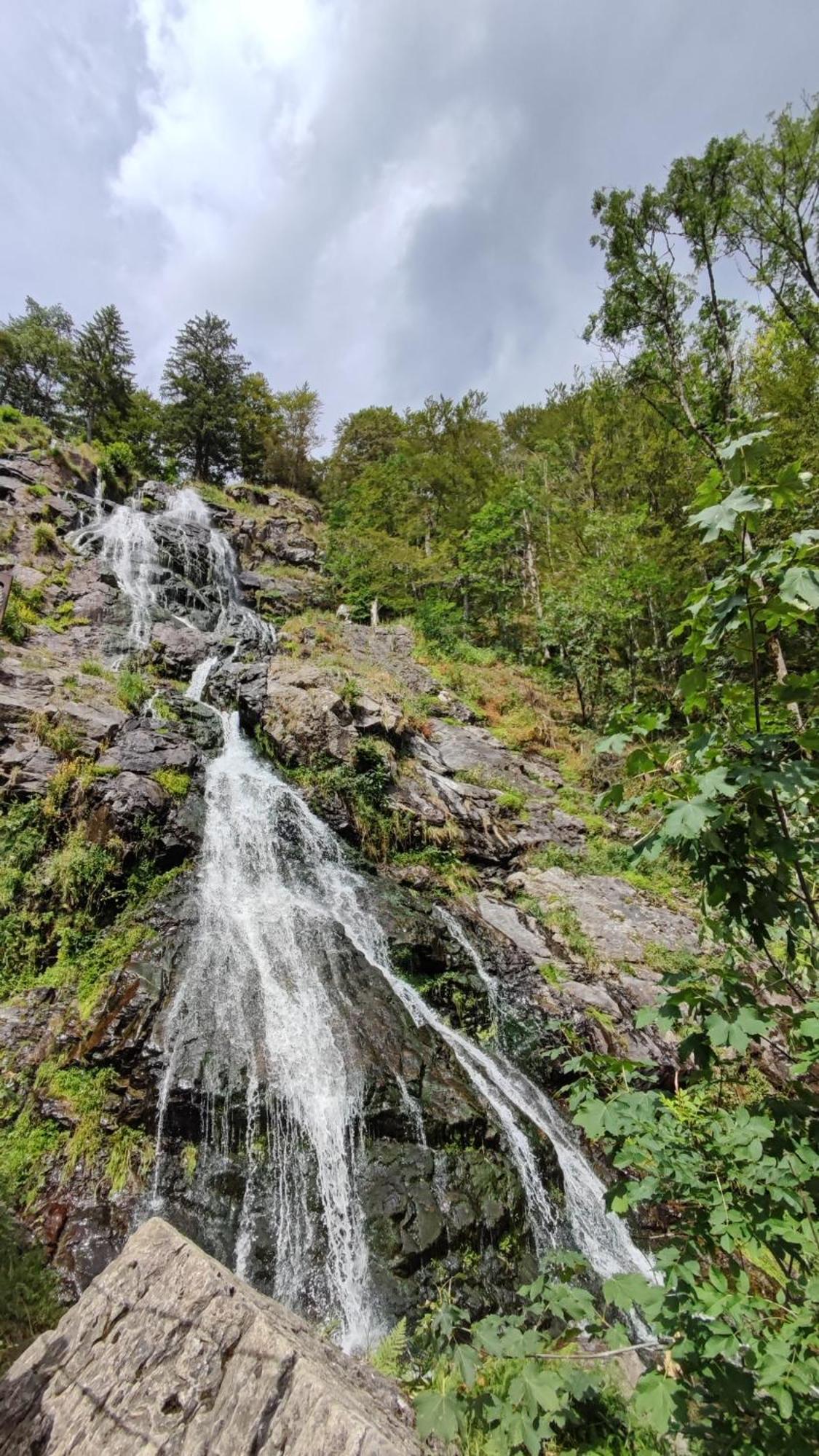 Am Berg Lägenhet Feldberg  Exteriör bild
