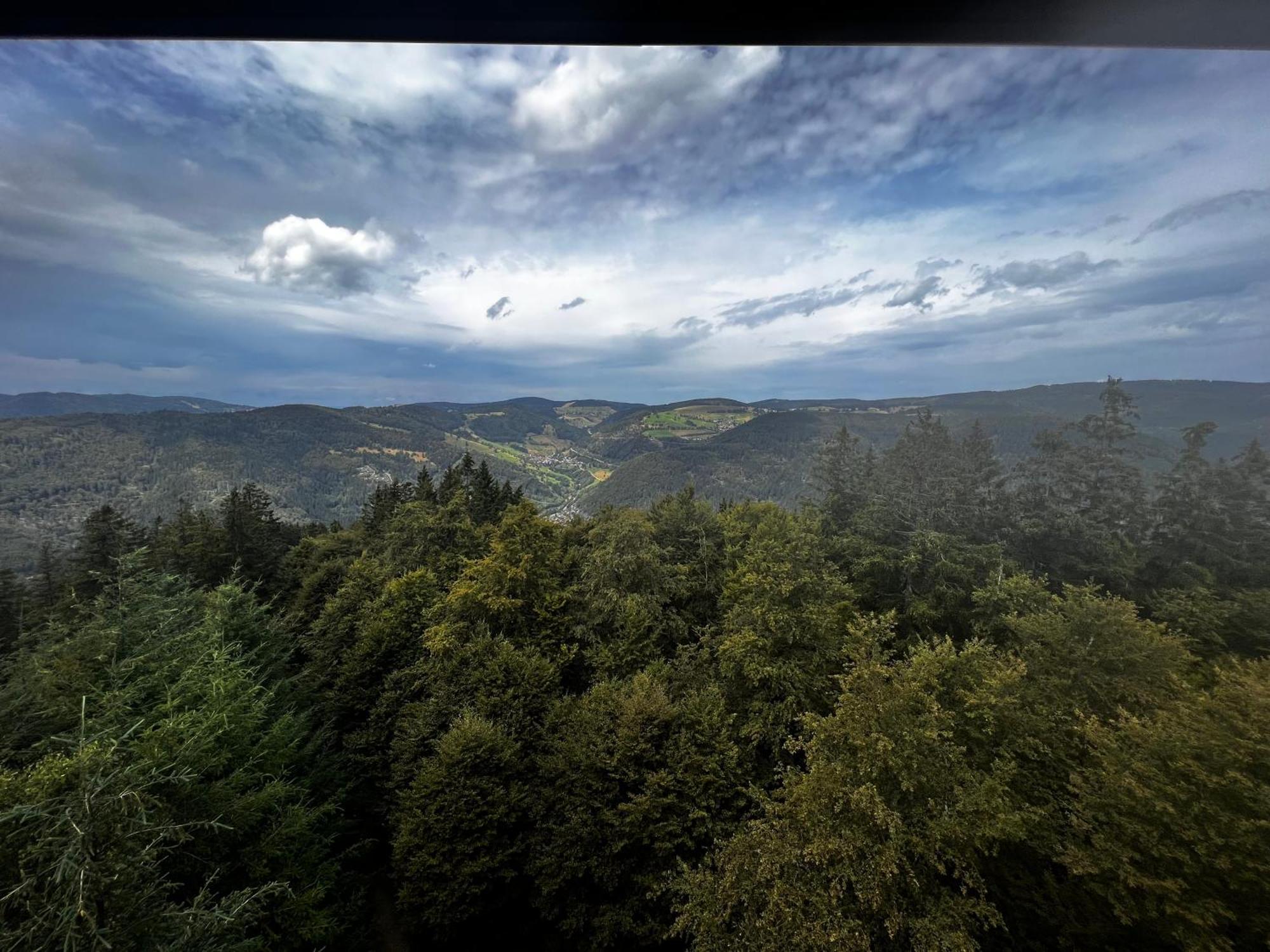 Am Berg Lägenhet Feldberg  Exteriör bild
